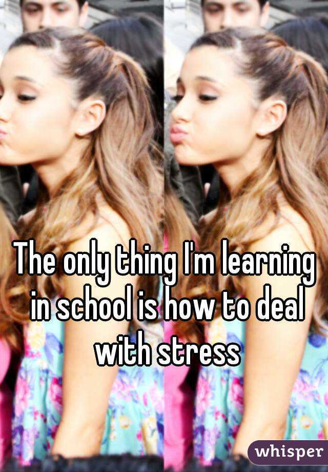 The only thing I'm learning in school is how to deal with stress