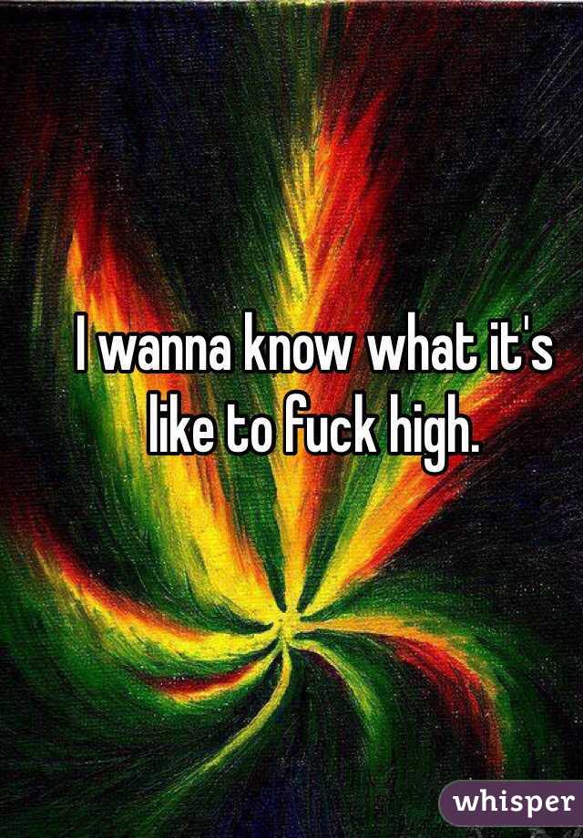 I wanna know what it's like to fuck high. 