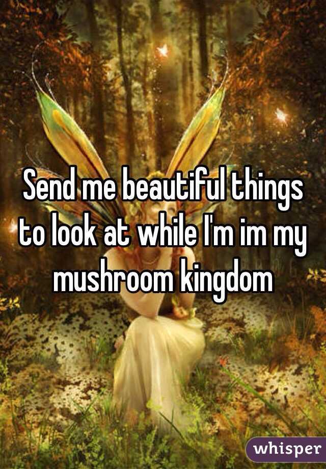 Send me beautiful things to look at while I'm im my mushroom kingdom