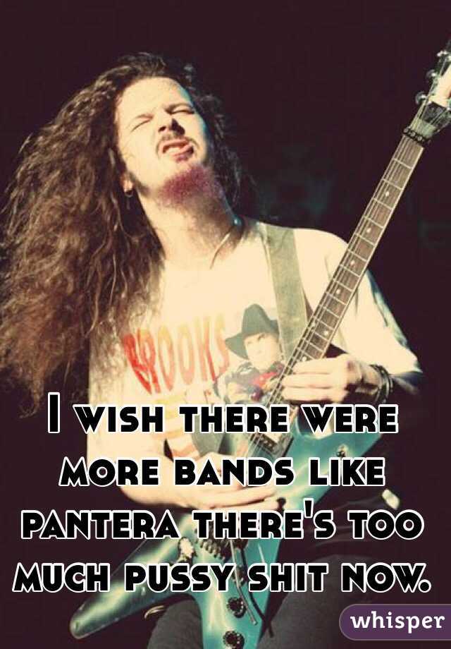 I wish there were more bands like pantera there's too much pussy shit now.