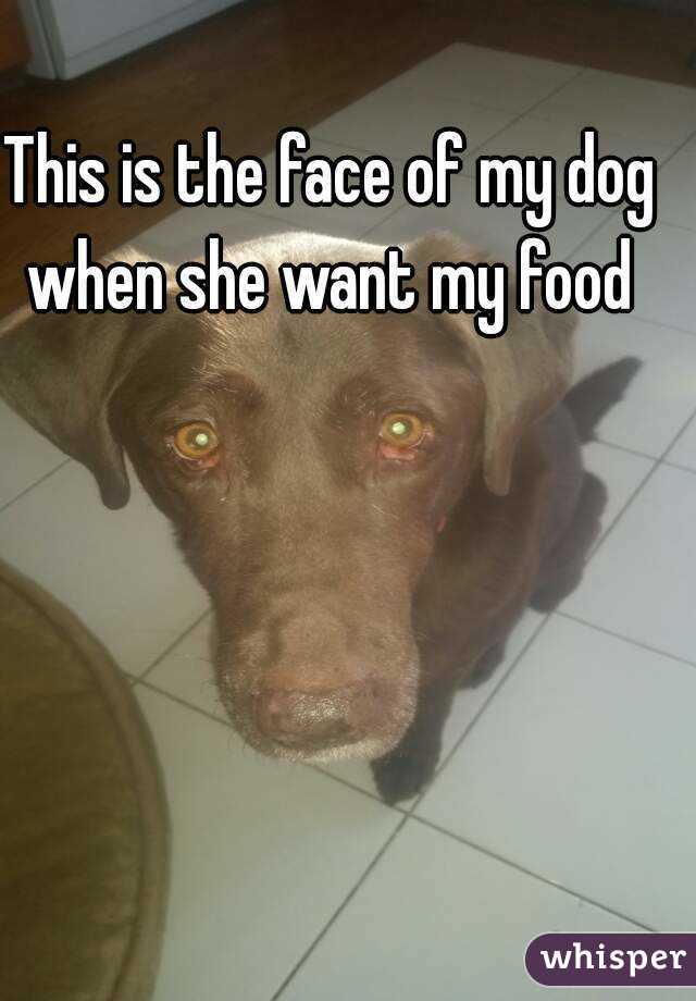 This is the face of my dog when she want my food 