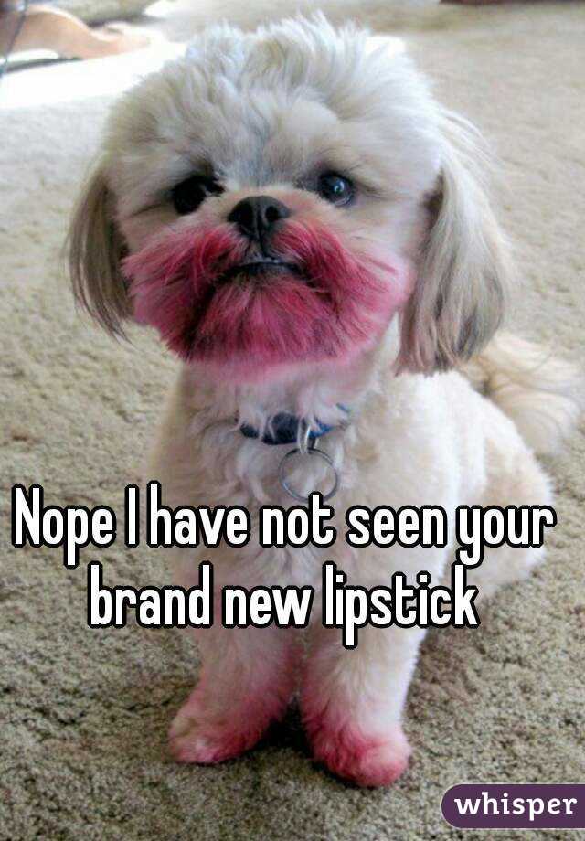 Nope I have not seen your brand new lipstick 
