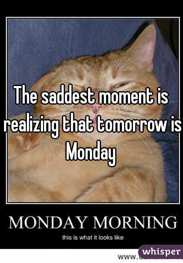 The saddest moment is realizing that tomorrow is Monday 
