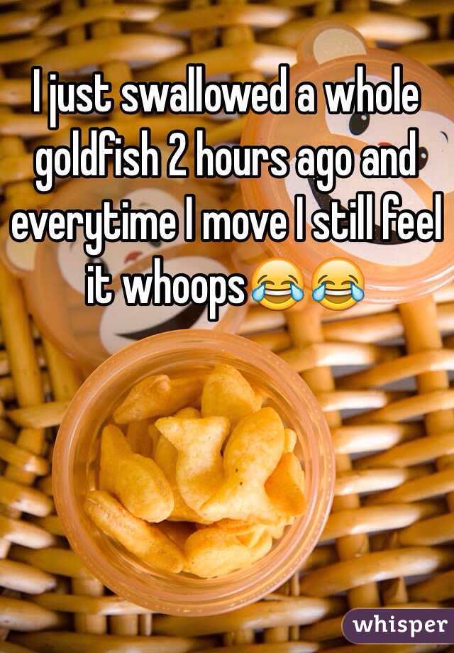 I just swallowed a whole goldfish 2 hours ago and everytime I move I still feel it whoops😂😂