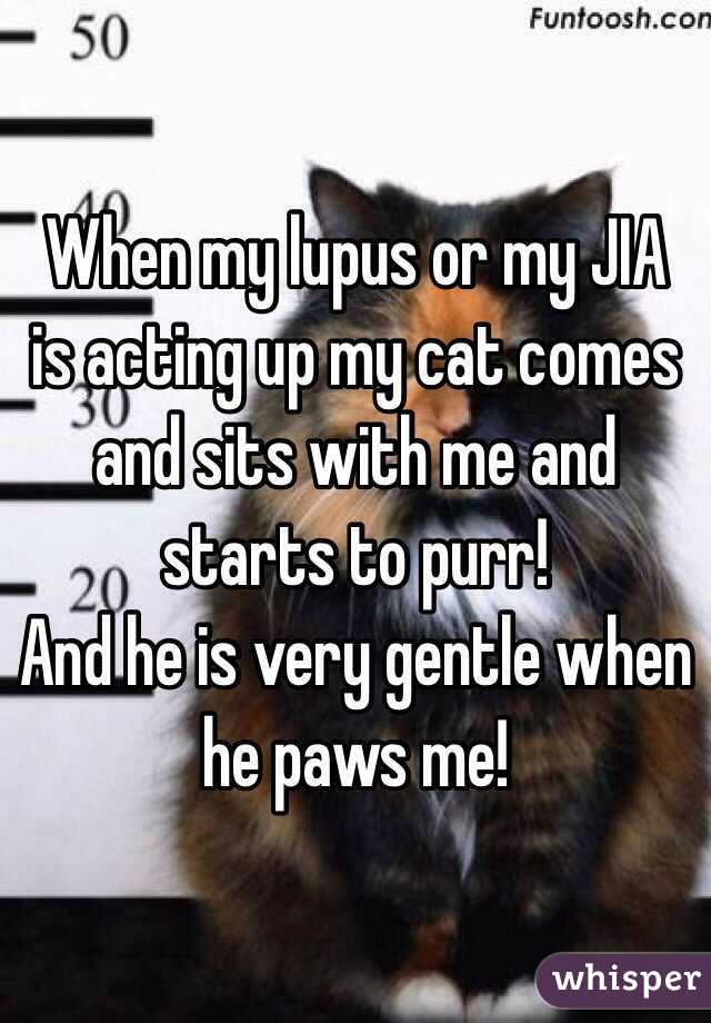 When my lupus or my JIA is acting up my cat comes and sits with me and starts to purr! 
And he is very gentle when he paws me! 