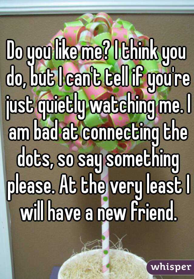 Do you like me? I think you do, but I can't tell if you're just quietly watching me. I am bad at connecting the dots, so say something please. At the very least I will have a new friend.