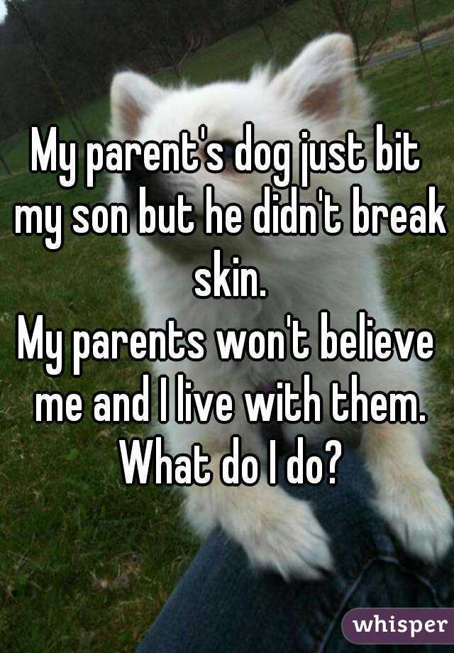 My parent's dog just bit my son but he didn't break skin.
My parents won't believe me and I live with them. What do I do?