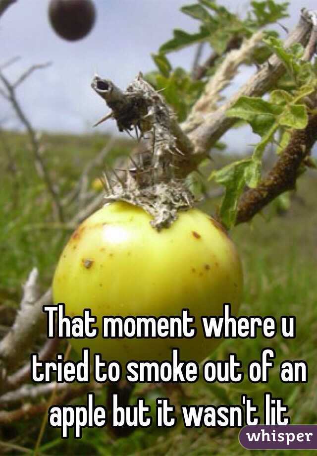That moment where u tried to smoke out of an apple but it wasn't lit