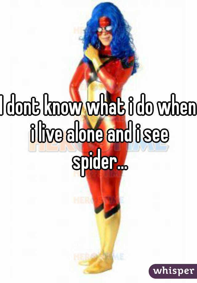 I dont know what i do when i live alone and i see spider...