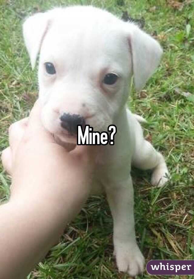 Mine?