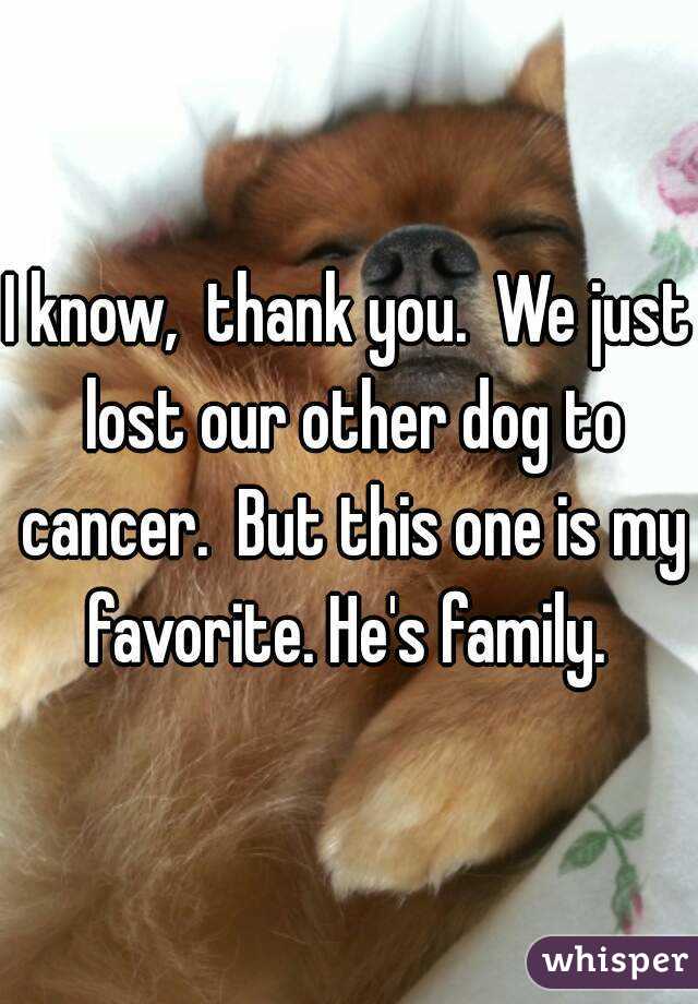 I know,  thank you.  We just lost our other dog to cancer.  But this one is my favorite. He's family. 