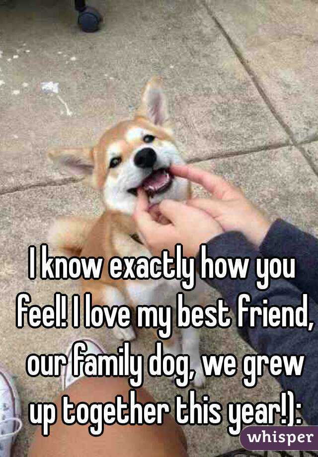 I know exactly how you feel! I love my best friend, our family dog, we grew up together this year!):