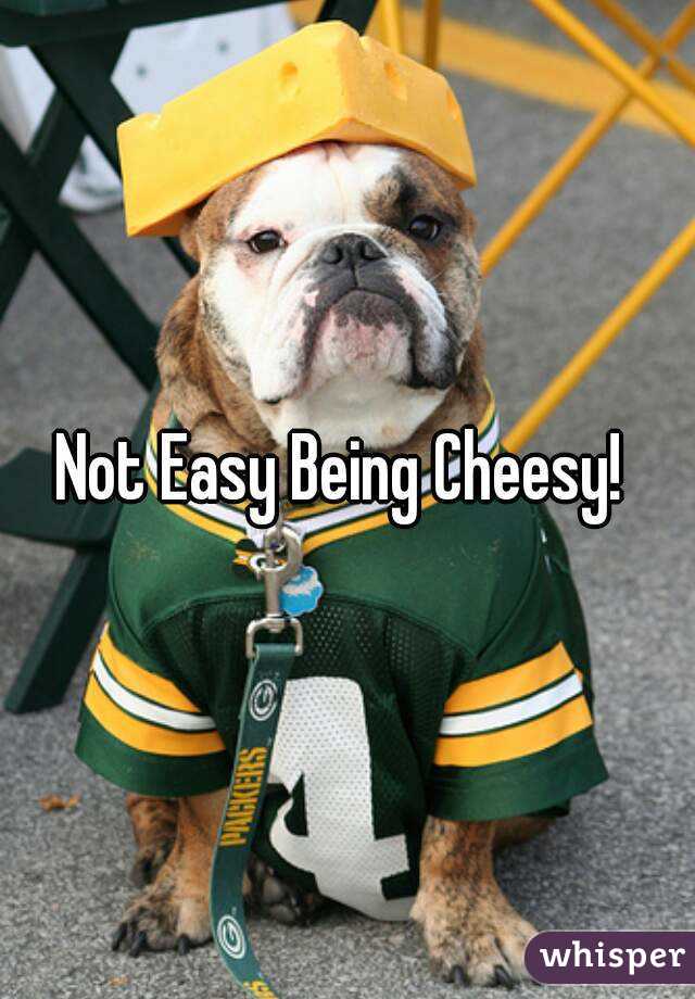 Not Easy Being Cheesy! 