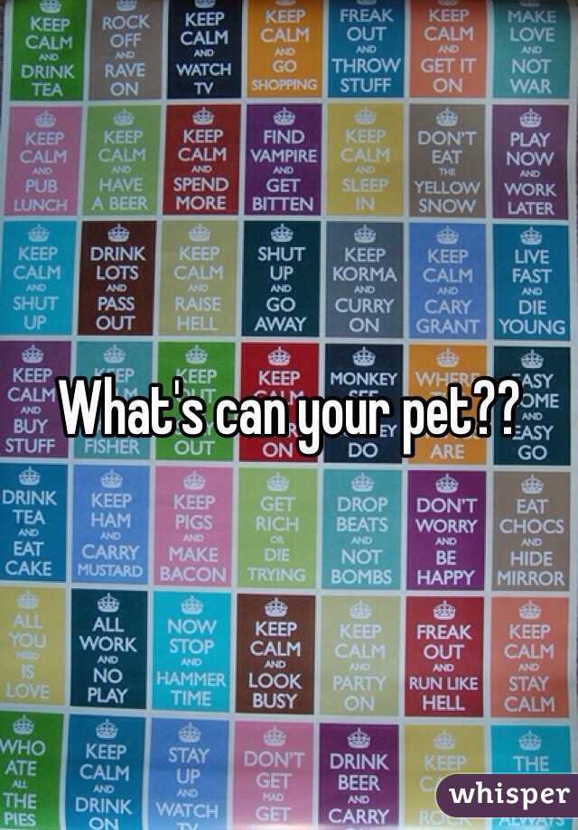 What's can your pet??