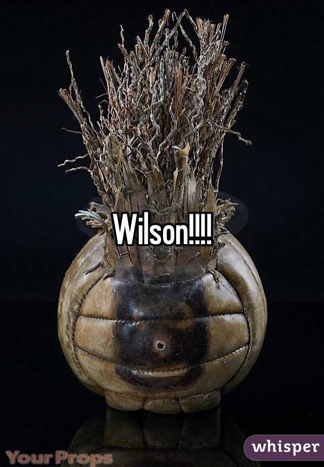 Wilson!!!!