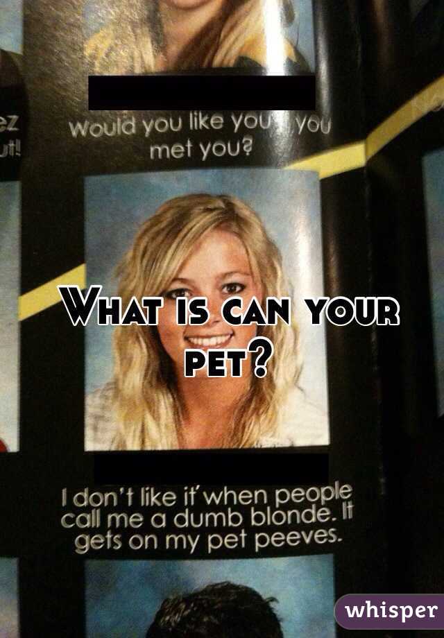 What is can your pet?