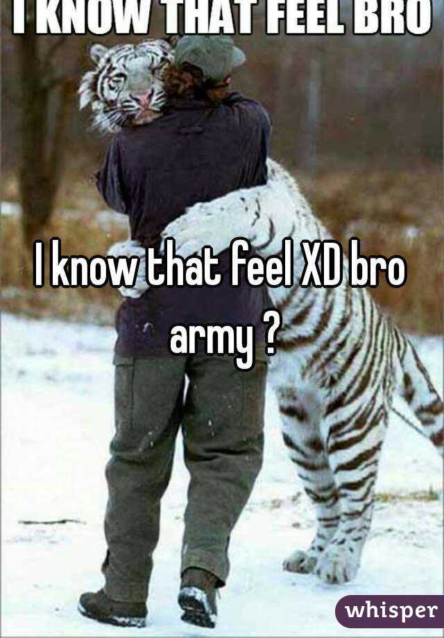 I know that feel XD bro army ?