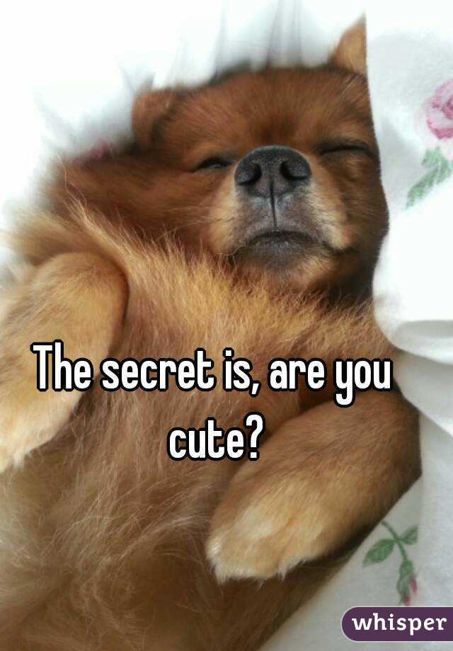The secret is, are you cute?