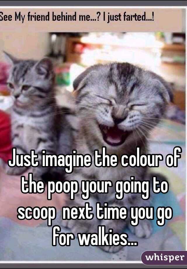 Just imagine the colour of the poop your going to scoop  next time you go for walkies...
