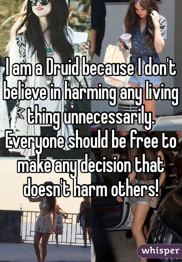 I am a Druid because I don't believe in harming any living thing unnecessarily. Everyone should be free to make any decision that doesn't harm others!