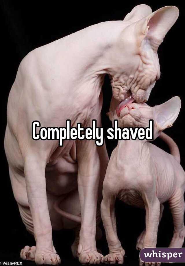 Completely shaved