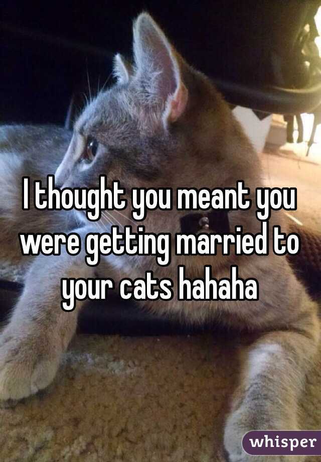 I thought you meant you were getting married to your cats hahaha