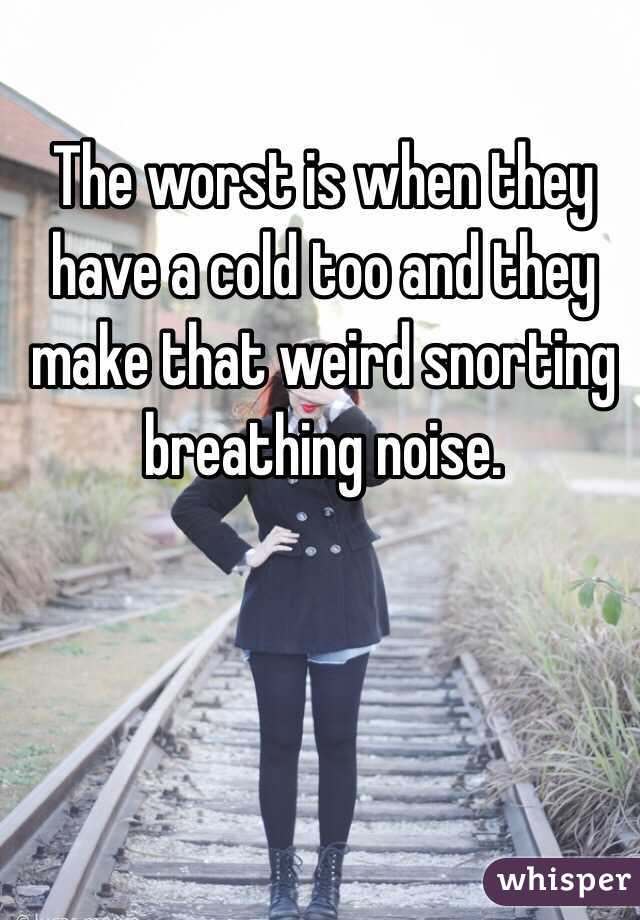 The worst is when they have a cold too and they make that weird snorting breathing noise. 