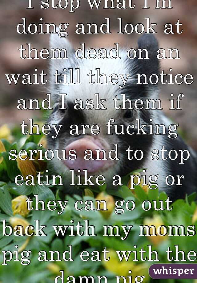 I stop what I'm doing and look at them dead on an wait till they notice and I ask them if they are fucking serious and to stop eatin like a pig or they can go out back with my moms pig and eat with the damn pig 