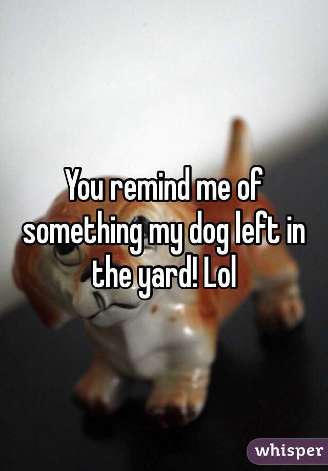 You remind me of something my dog left in the yard! Lol