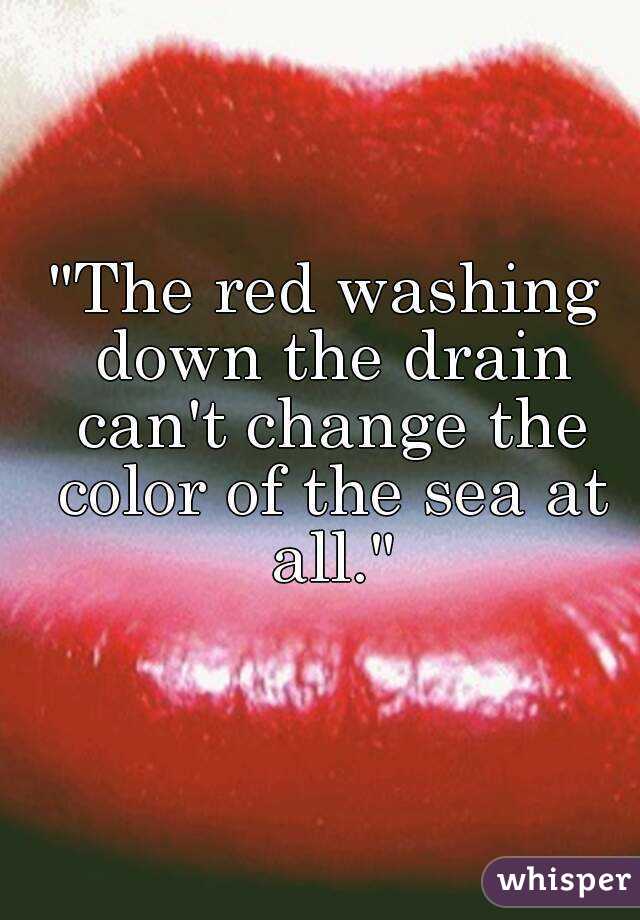 "The red washing down the drain can't change the color of the sea at all."

