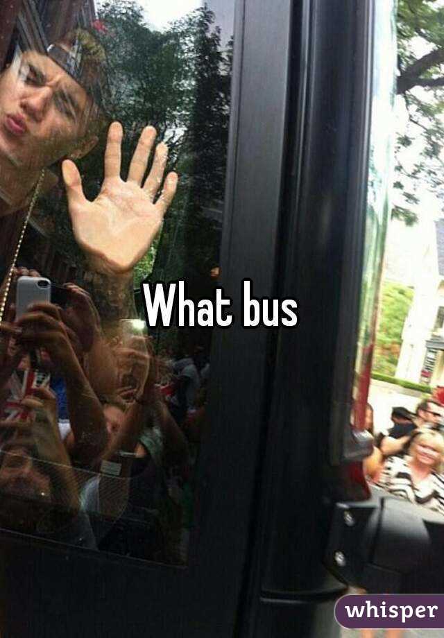 what-bus