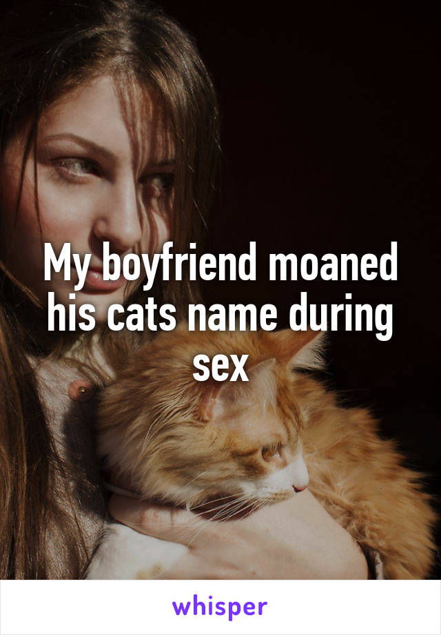 My boyfriend moaned his cats name during sex
