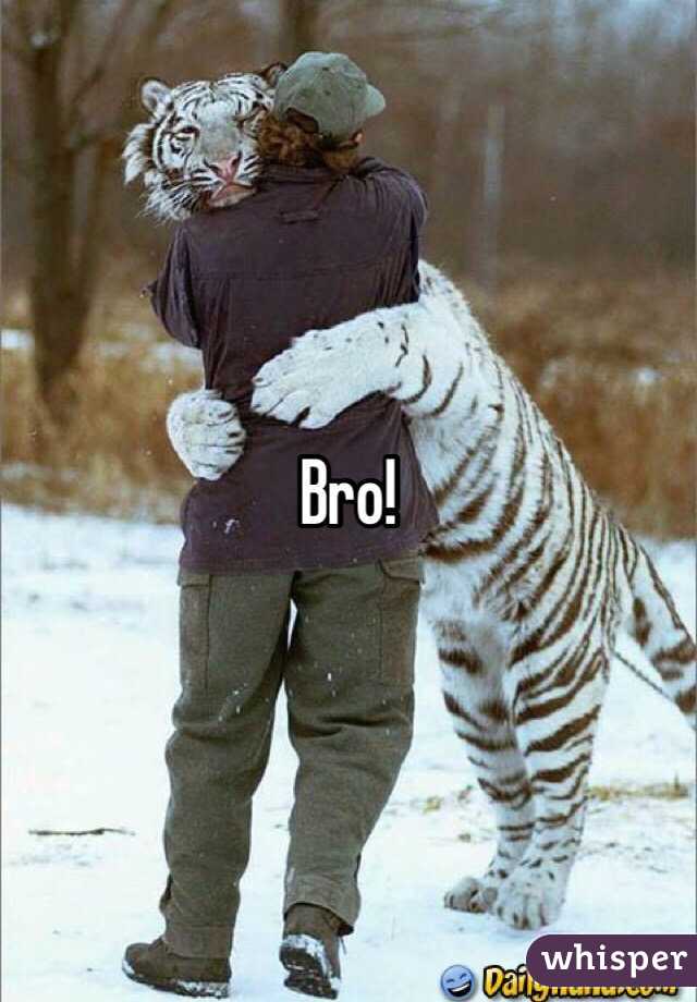 Bro! 