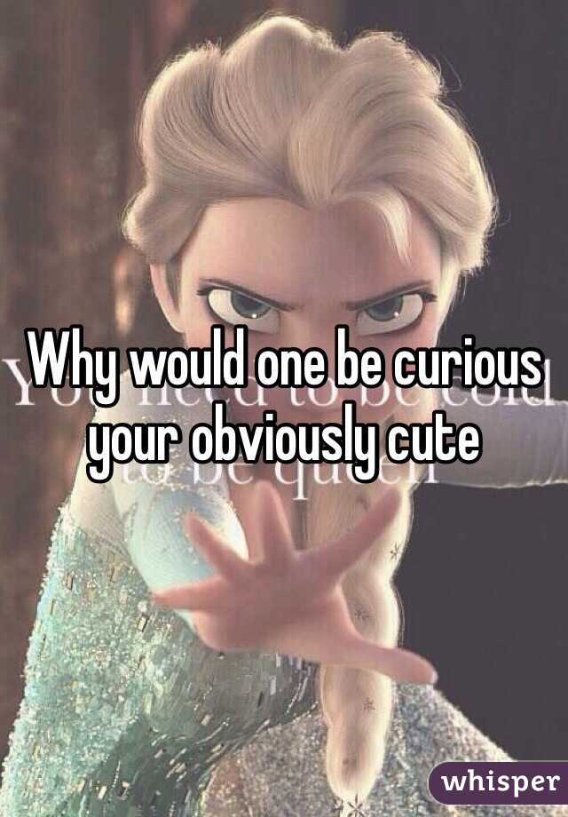 Why would one be curious your obviously cute