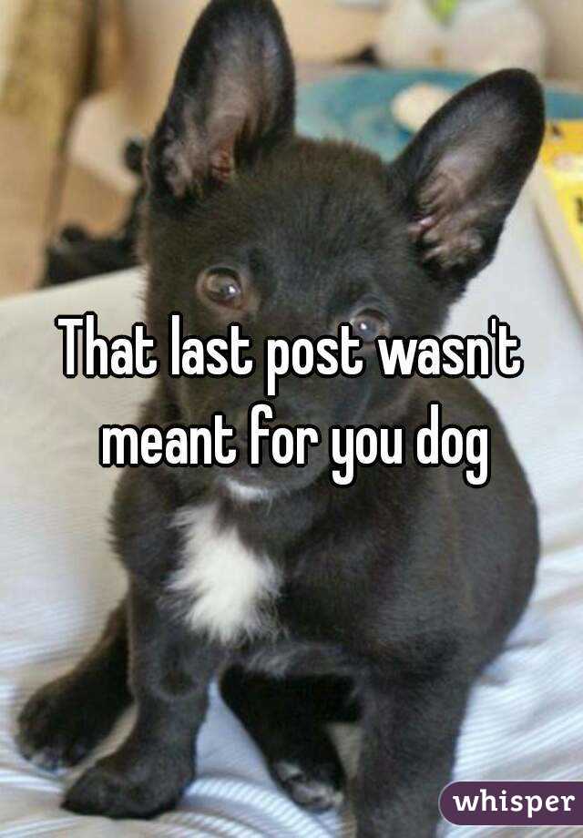 That last post wasn't meant for you dog