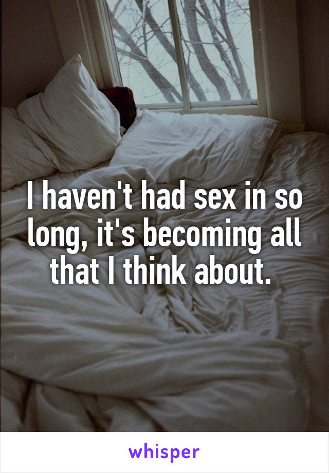I haven't had sex in so long, it's becoming all that I think about. 