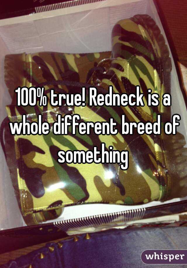 100% true! Redneck is a whole different breed of something 