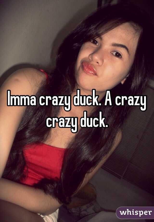Imma crazy duck. A crazy crazy duck. - 050c93d7a4901b1653395e1635eb91b9a5210b-wm