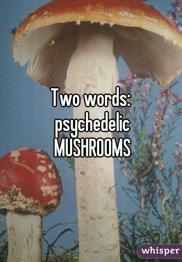 Two words:
 psychedelic
 MUSHROOMS