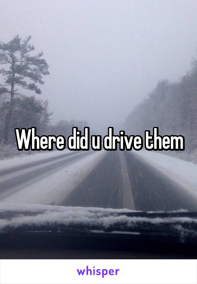 Where did u drive them