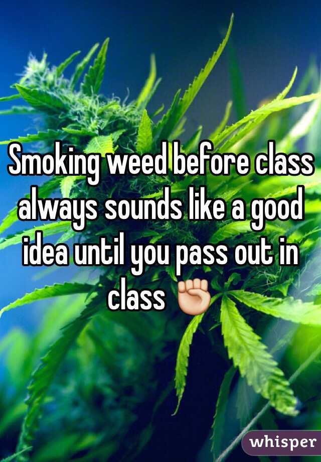 Smoking weed before class always sounds like a good idea until you pass out in class ✊