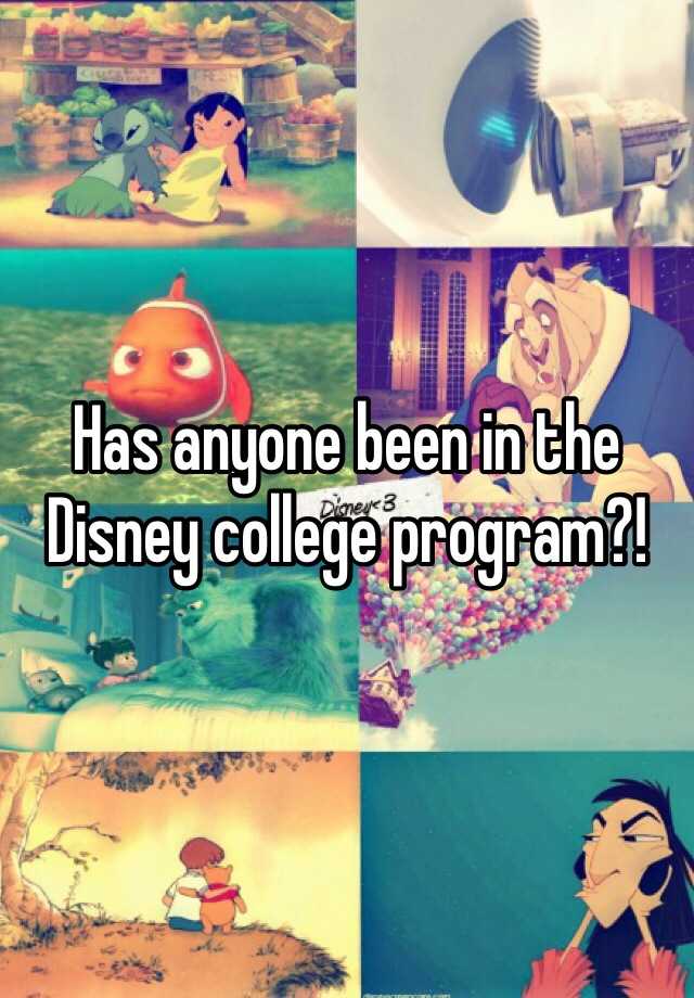 has-anyone-been-in-the-disney-college-program