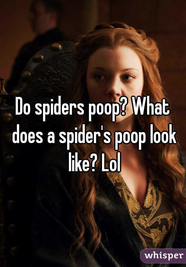 Do spiders poop? What does a spider's poop look like? Lol