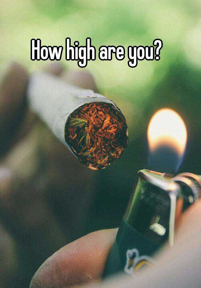 How High Are You Meaning In English