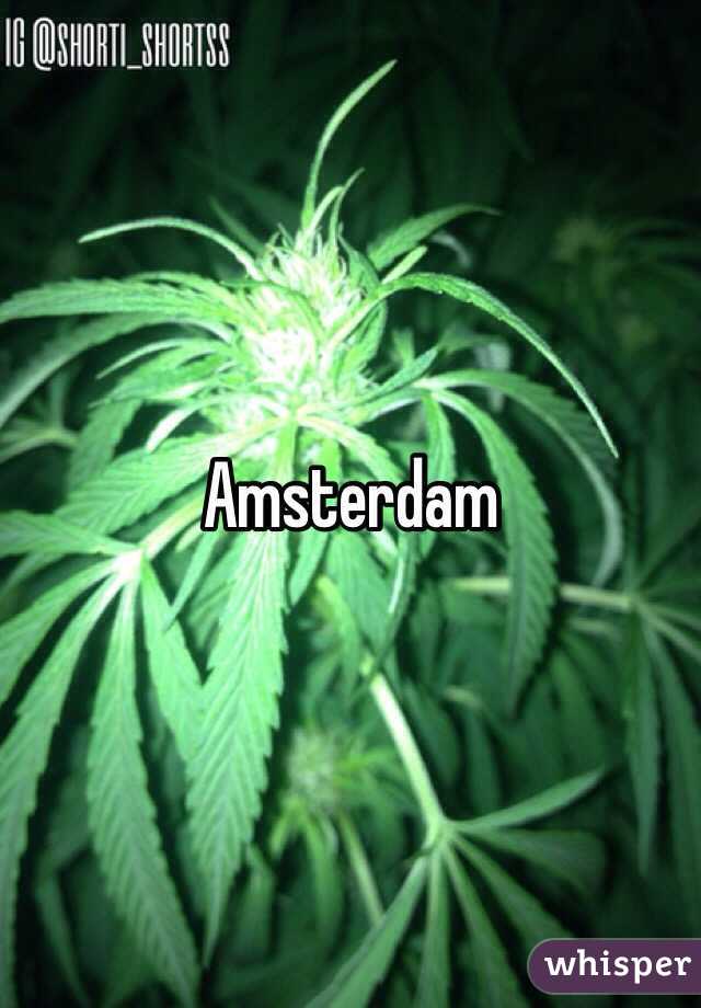 Amsterdam 