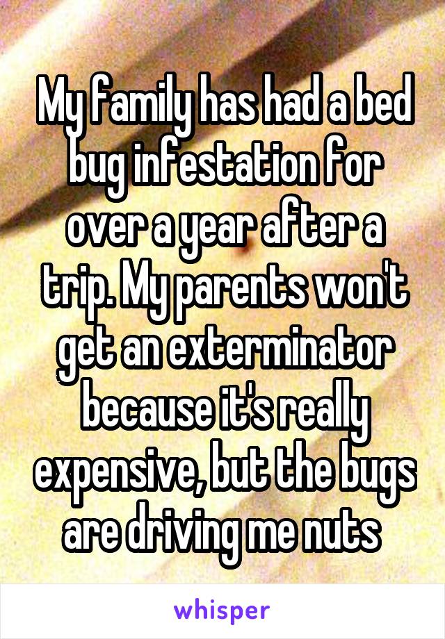 My family has had a bed bug infestation for over a year after a trip. My parents won't get an exterminator because it's really expensive, but the bugs are driving me nuts 