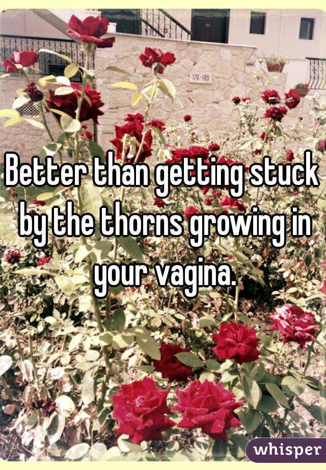 Better than getting stuck by the thorns growing in your vagina.