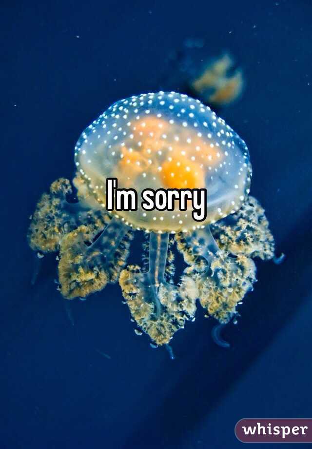 I'm sorry 