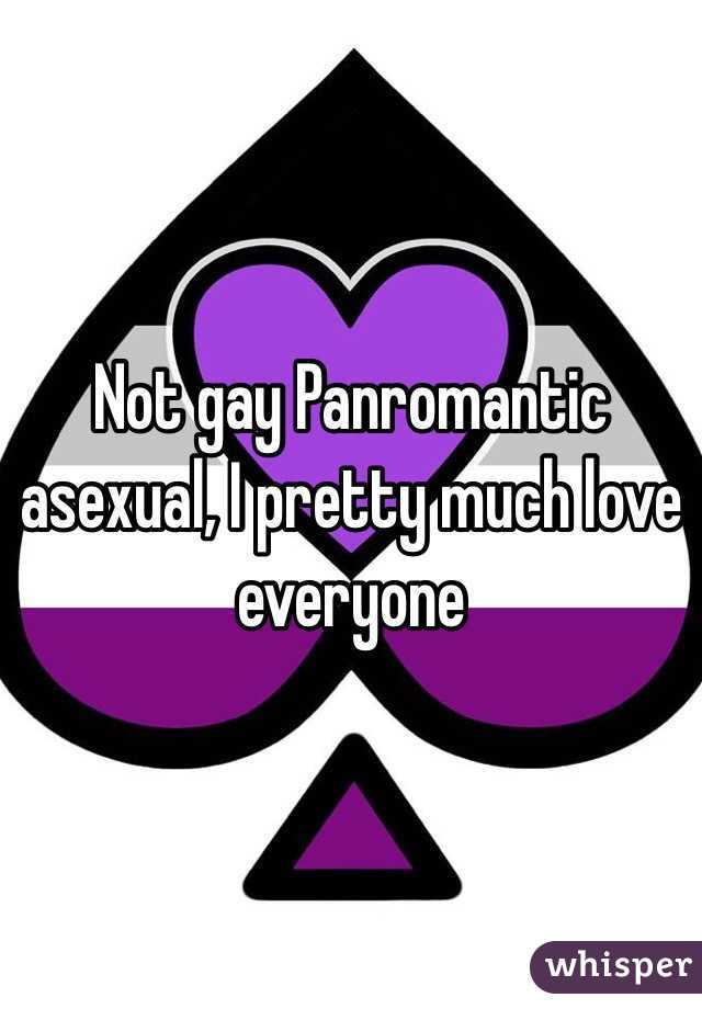 Not gay Panromantic asexual, I pretty much love everyone