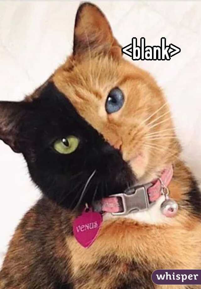 <blank>